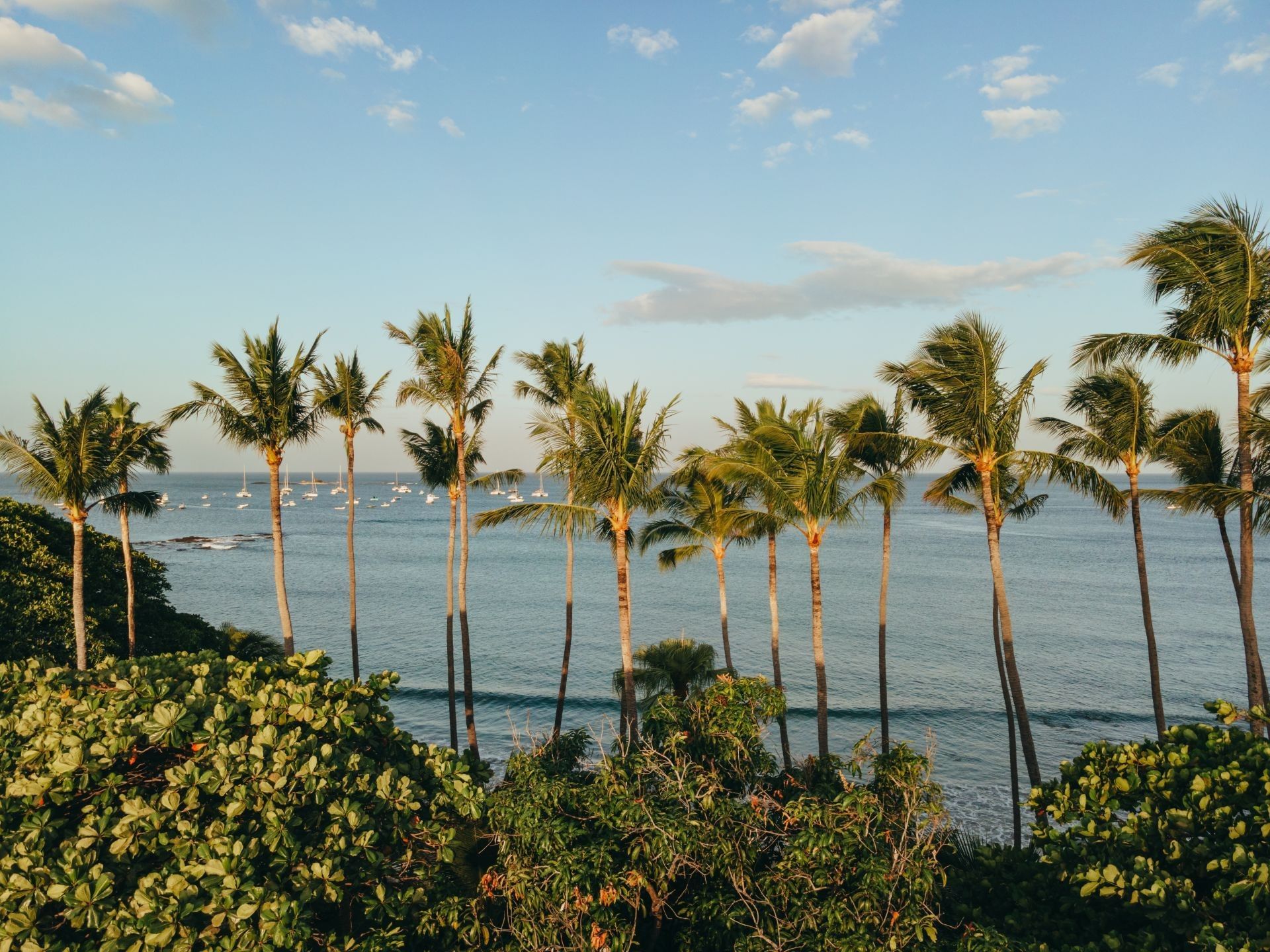 Beachfront